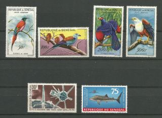 1960/70 Senegal 10 Stamps Air Mail /tr417