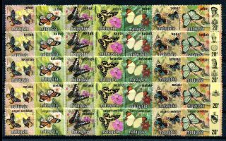 Malaysia Mnh Stamps 1971 Butterfly 91 Stamps 13 States Sets Complete X27509