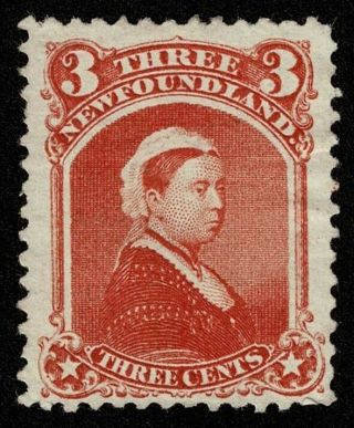Canada Newfoundland Stamp Scott 33 3c Queen Victoria No Gum