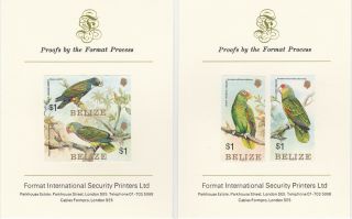 Belize 2604 - 1984 Parrots Imperf Set On Two Format International Proof Cards