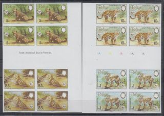 V 4x Belize - Mnh - Nature - Animals - Wild Cats - Wwf - Imperf