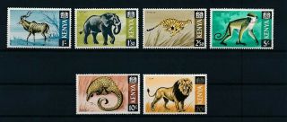 D275872 Wild Animals Mnh Kenya 13 Values