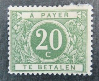 Nystamps Belgium Stamp J14 Og H $48