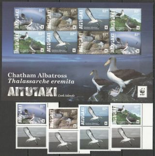 J228 2016 Aitutaki Wwf Fauna Birds Chatham Albatross 1kb,  1set Mnh