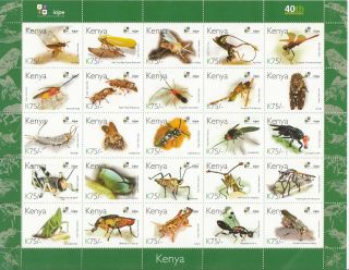 2011 Kenya Icipe Insects 75 Shilling Complete Sheet Of 25 Different Mnh Stamps