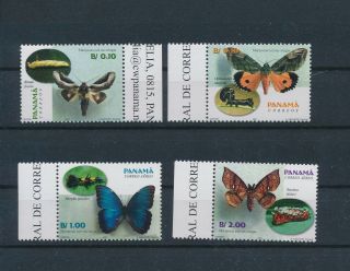 Lk62695 Panama Insects Bugs Flowers Butterflies Edges Mnh