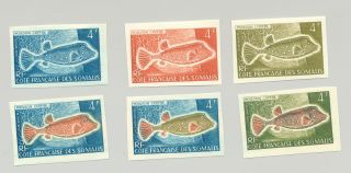 Somali Coast 278 Fish 6v Trial Color Proofs