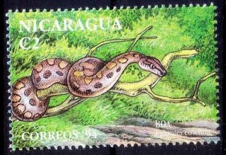 Boa Constrictor,  Snakes,  Reptiles,  Nicaragua 1994 Mnh (p9n)