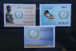 2002 Guinea Worm Eradication Campaign Set Mnh