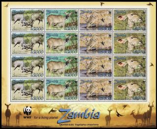 Zambia Wwf Greater Kudu Sheetlet Of 4 Sets Mnh Sg 1049 - 1052 Mi 1606 - 1609