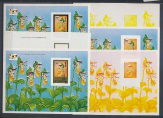 Xb68407 Mongolia Imperf Orchids Nature Flowers Sheets Xxl Mnh