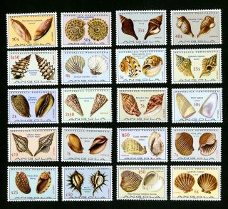 Angola Stamps 573 - 92 Xf Og Nh Sea Shells
