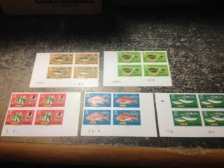 Ghana 1966 251 - 55 Imperf Blocks Of 4 Fish Sea Fauna Fight Against Hunger Mnh