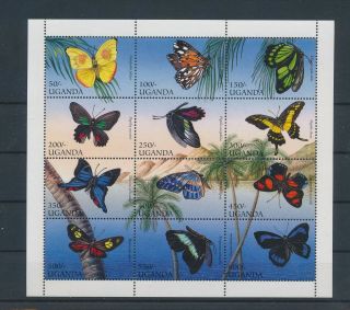 Lk64992 Uganda Insects Bugs Flora Butterflies Good Sheet Mnh