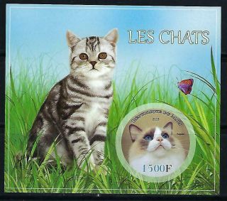 M1991 Nh 2013 Imperf Souvenir Sheet Of Popular Pets Cat Breed Ragdoll