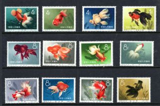 Set Of 12 China Prc Goldfish Stamps Sc 506 - 517 1960 Nh Og Id 2135