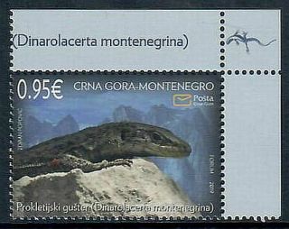 Montenegro 2019 Rock Lizard On Single Stamp Issue Mnh