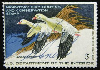 Us Duck Stamp 1977 $5 Ross Geese Scott Rw44