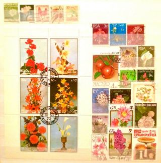 Flowers,  Plants Educational Mini Sheet,  Stamps Thematic Topical 01190119