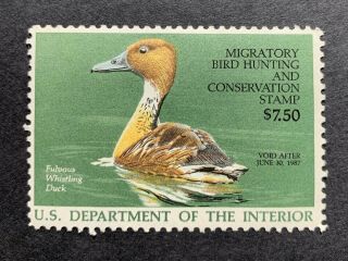 Wtdstamps - Rw53 1986 - Us Federal Duck Stamp - Og Nh