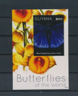 Lk64289 Guyana Insects Bugs Flora Butterflies Good Sheet Mnh