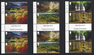 Great Britain 2019 Forests Set Of 6 In Gutter Pairs Unmounted,  Mnh