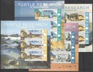 C191 2009 Ascension Island Fauna Turtle Research 1082 - 9 4kb Mnh