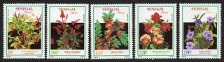 Senegal 1994 Complete Set Of Stamps Mi 1260 - A1263 Mnh Cv=90€