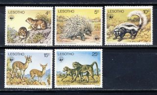 Lesotho Wwf Wild African Animal Set Mnh Vf Complete 79.  25
