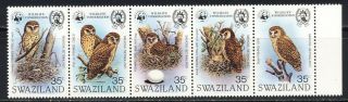 Swaziland,  Africa Wwf Scott 405 Owl Topic Strip Of 5 Intact Mnh Vf 125.  00