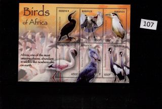 // Burundi - Mnh - Nature - Birds - Africa