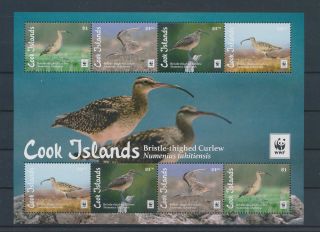 Gx01854 Cook Islands Animals Fauna Flora Birds Good Sheet Mnh