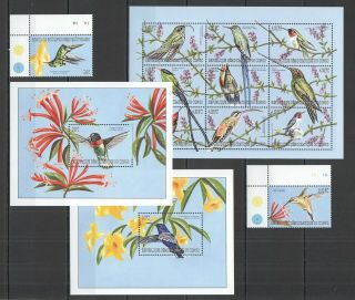 Y952 Congo Flora & Fauna Birds Colibri 1kb,  2bl,  1set Mnh