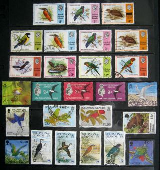 Solomon Islands Birds.  Large Selection Of Stamps.  Sets And High Values.