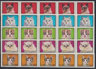 A691.  5x Fujeira - Mnh - Animals - Cats