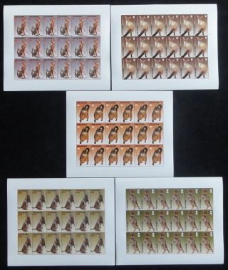 Papua Guinea Png 2005 Cats Mnh X 18 Sets (90 Stamps) (pap 29)