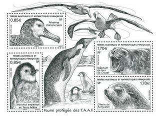 Year 2018 - Taaf - French Antarctic - Faces Values - Bf Animals Protect Mnh/ T