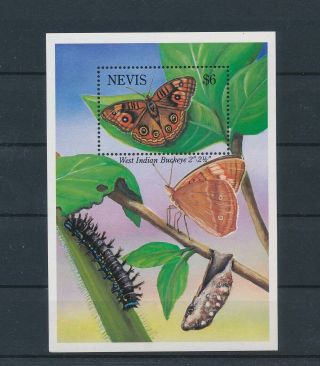 Lk64014 Nevis Insects Bugs Flowers Butterflies Good Sheet Mnh