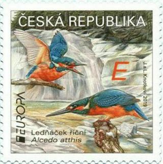 Czech Rep.  2019 Europa Cept Birds 1 Stamp Mnh