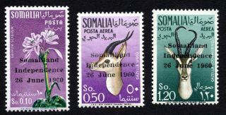 Somalia 1960 Complete Set Of Stamps Mi 1 - 3 Mnh Cv=110€