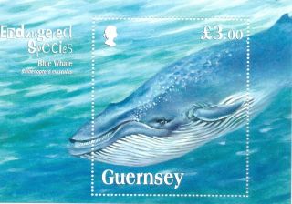 Guernsey - Blue Whale - Min Sheet Mnh Endangered Animals