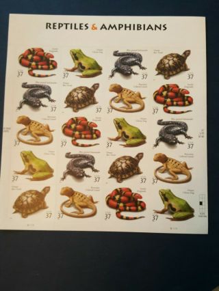 Scott 3814 - 18 Us Souvenir Sheet Reptiles And Amphibians 37 Cent Mnh