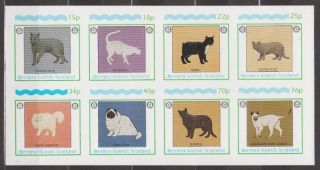 Russian Blue Devon Rex Manx Burmese Himalayan Cats Mnh Imperf M/s Of 8 Stamps