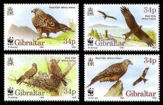 Gibraltar Birds Wwf Red Kite 4v Mnh Sg 784 - 787 Mi 774 - 777 Sc 716 A - D CvÂ£6.  4