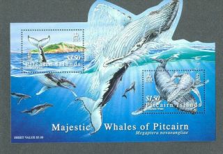 Pitcairn Island Majestic Whales Of Pitcairn Mnh Min Sheet - 2006