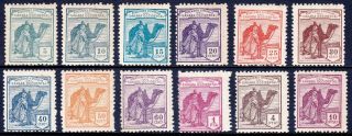 Spanish Sahara — Scott 1 - 12 — 1924 Camel Set — Specimens — Mh — Scv $283
