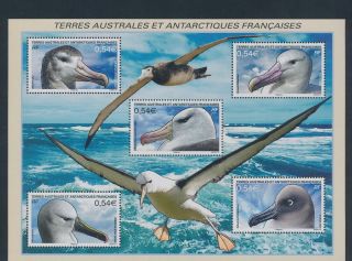 Xb70061 Taaf Albatross Animals Birds Xxl Sheet Mnh
