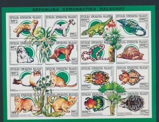 Xb69927 Madagascar 1991 Fauna & Flora Wildlife Imperf Xxl Sheet Mnh