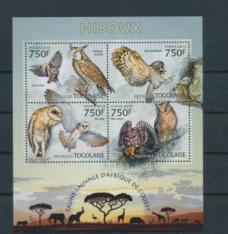 Lk81947 Togo 2013 Owls Animals Birds Good Sheet Mnh