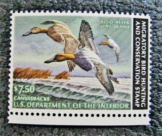 Nystamps Us Duck Stamp Rw49 Og Nh $18